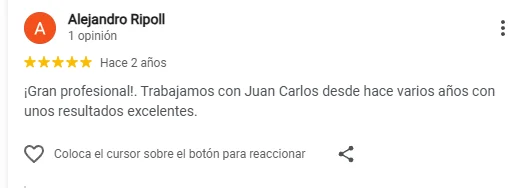 Reseña de Alejandro Ripoll en Google — Juan Carlos Pell consultor SEO